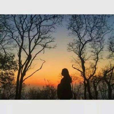 南宫28登录入口