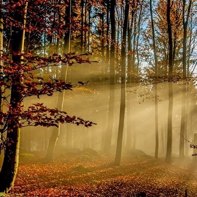 爱游戏(ayx)中国官方网站