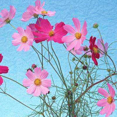 狗万manbet下载手机版