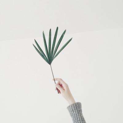 爱游戏(ayx)中国官方网站截图