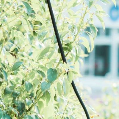 BOB体育综合app入口