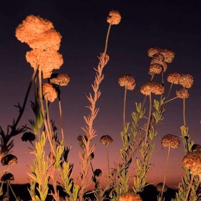 6566体育手机app下载